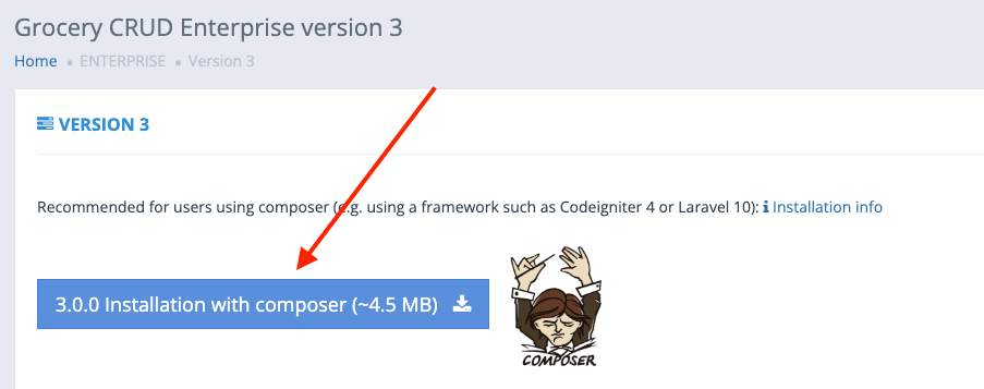 Download composer zip file